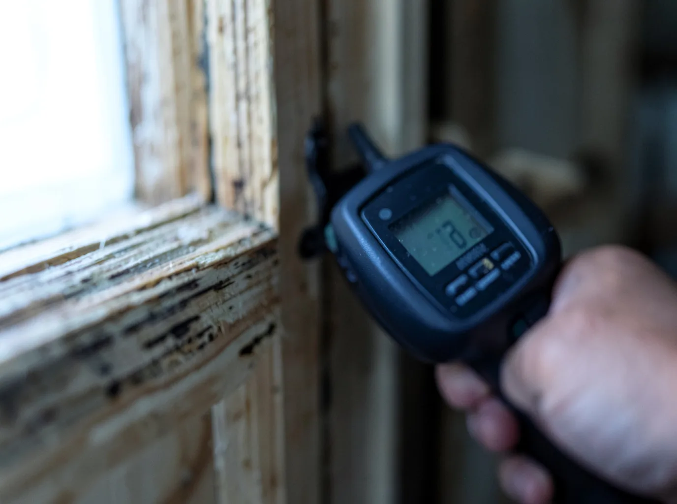 Moisture Inspection And Documentation in Lindon, UT
